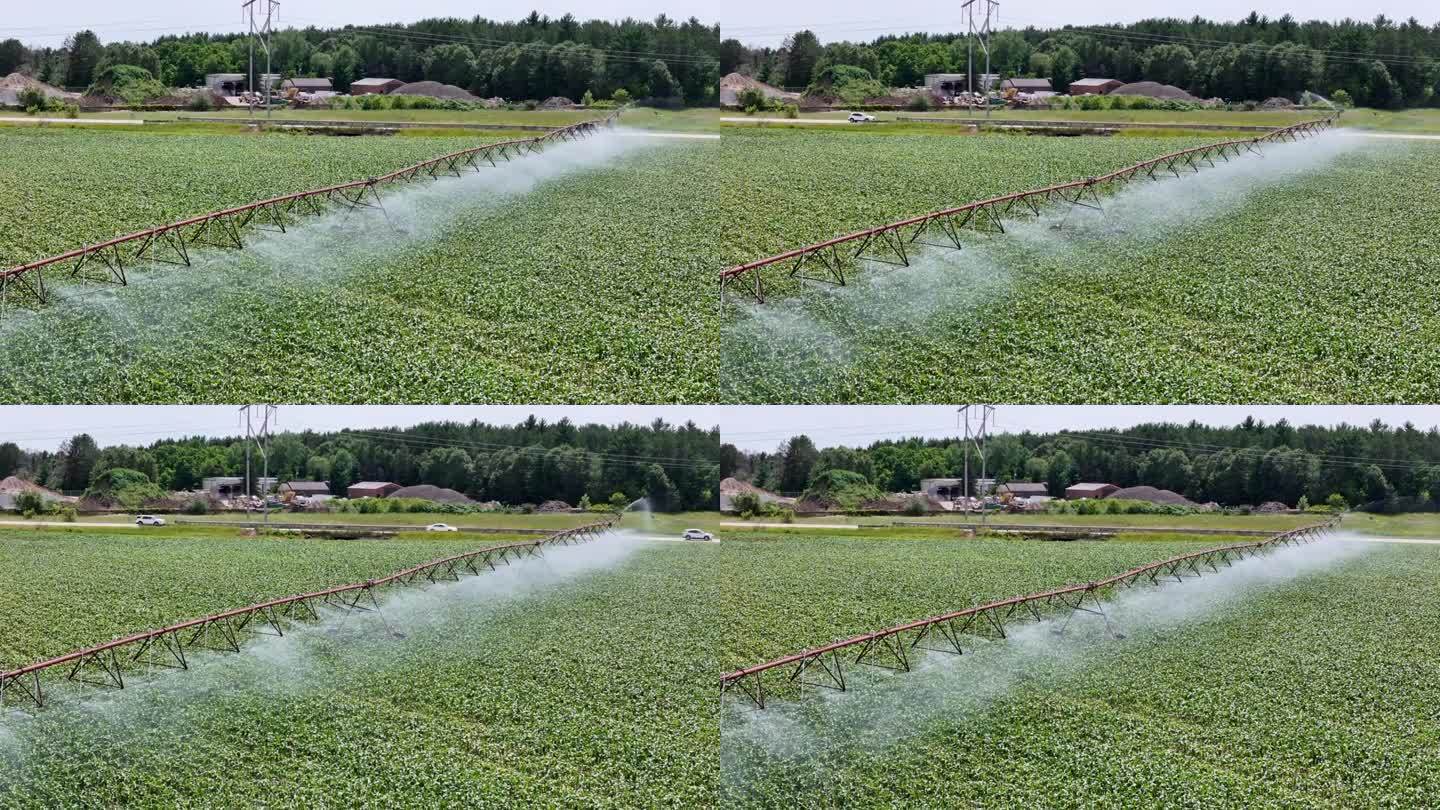威斯康辛州中部的一片農田正在用灑水系統進行灌溉。